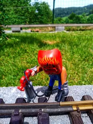 Playmobil Building the Garden Railway – photo 91 of 130