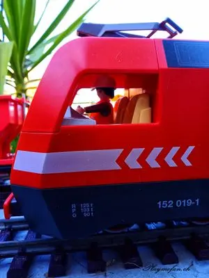 Playmobil Building the Garden Railway – photo 127 of 130