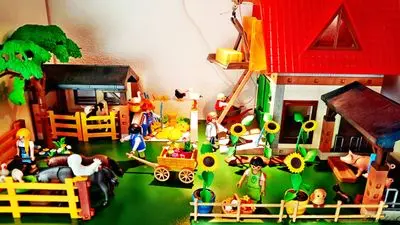 Playmobil Farm – photo 2 of 5