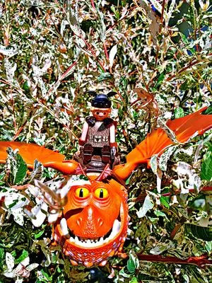 Playmobil Dragons – photo 10 of 10