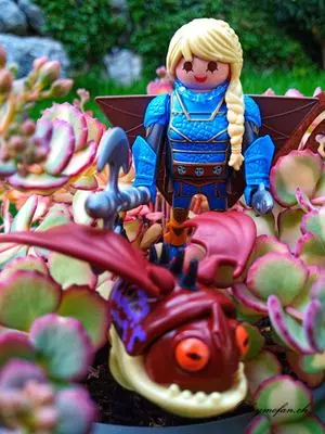 Playmobil Dragons – photo 9 of 10