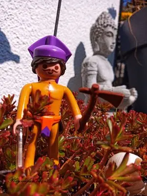 Playmobil Western – foto 12 de 12