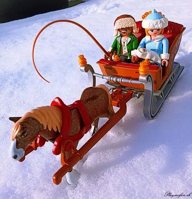 Playmobil Winter Wonderland – photo 1 of 13