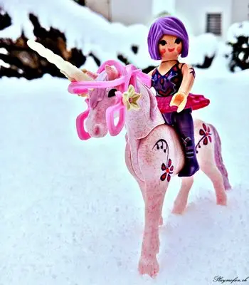 Playmobil Winter Wonderland – photo 3 of 13