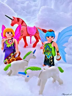 Playmobil Winter Wonderland – photo 8 of 13