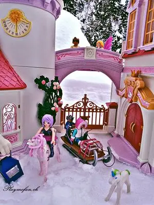 Playmobil Winter Wonderland – photo 11 of 13