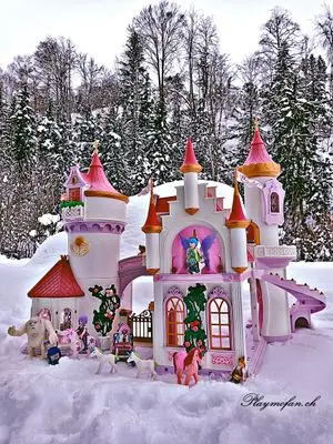 Playmobil Winter Wonderland – photo 13 of 13