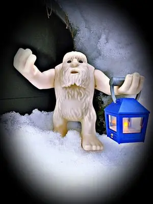 Playmobil Winter – photo 8 of 17