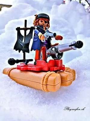 Playmobil Winter – photo 14 of 17