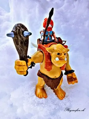 Playmobil Winter – photo 15 of 17