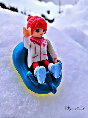 Playmobil Winter – photo 16 of 17