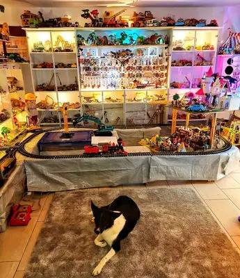 Playmobil Building the Indoor Layout – photo 1 of 16