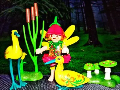 Playmobil Fantasy – photo 3 of 30