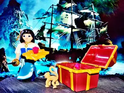Playmobil Fantasy – photo 6 of 30