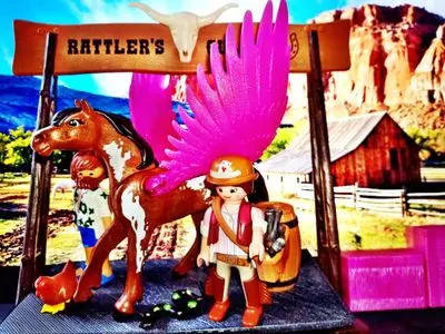 Playmobil Fantasy – photo 8 of 30