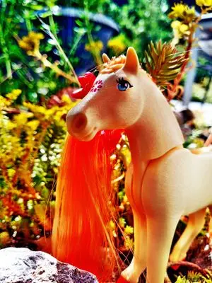 Playmobil Fantasy – photo 12 of 30