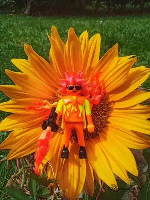 Playmobil Fantasy – photo 13 of 30