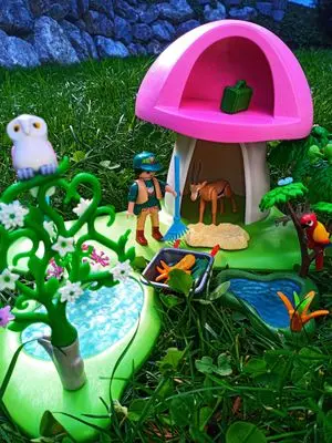 Playmobil Fantasy – photo 14 of 30