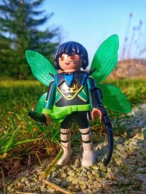 Playmobil Fantasy – photo 18 of 30
