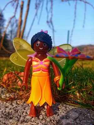 Playmobil Fantasy – photo 19 of 30