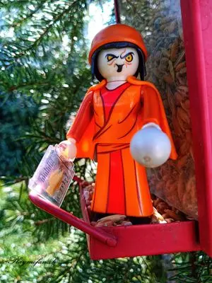 Playmobil Fantasy – photo 21 of 30