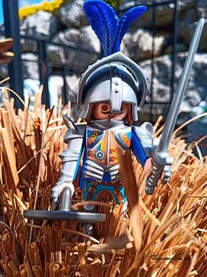 Playmobil History – photo 10 of 10