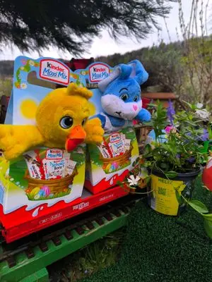 Playmobil Ostern – Foto 7 von 22