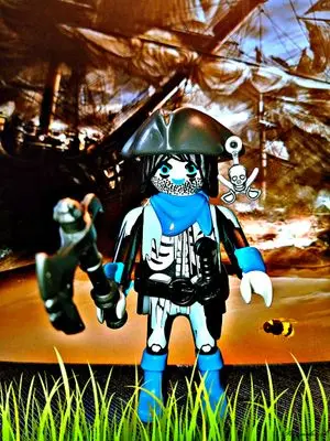 Playmobil Pirates – photo 7 of 13