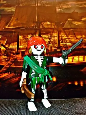 Playmobil Pirates – photo 9 of 13