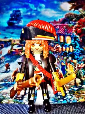 Playmobil Pirates – photo 4 of 13