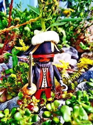 Playmobil Pirates – photo 5 of 13