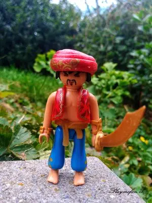 Playmobil Pirates – photo 6 of 13