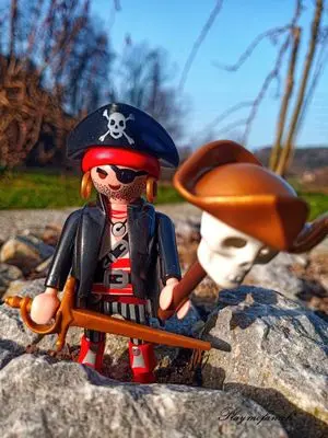 Playmobil Pirates – photo 12 of 13