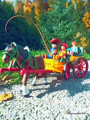 Playmobil Vintage – photo 2 of 11
