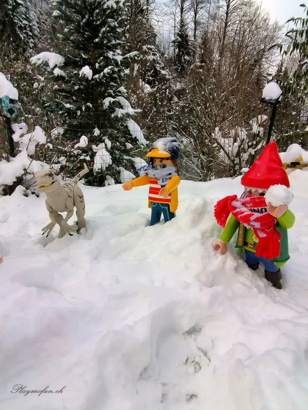 Snowball Fight – See it in the album